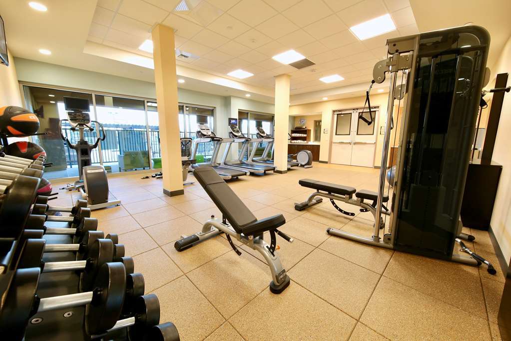 Hotel Homewood By Hilton John Wayne Airport Irvine